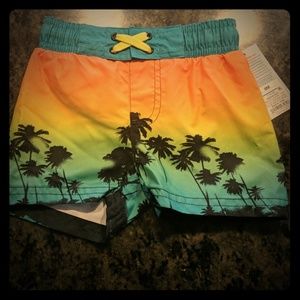 9 month paml tree swim trunks